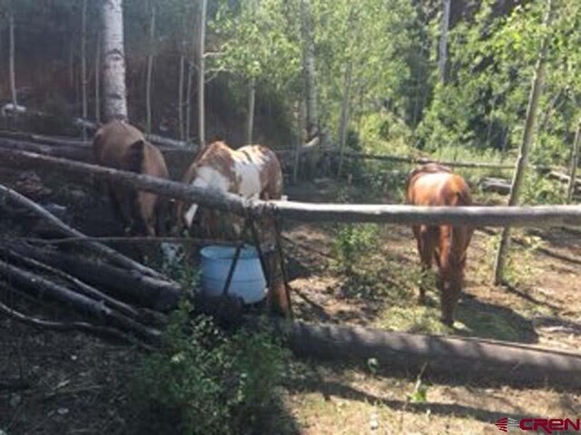 4558 Middle Mountain Rd, Bayfield, CO 81122