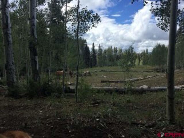 4558 Middle Mountain Rd, Bayfield, CO 81122