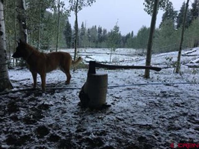 4558 Middle Mountain Rd, Bayfield, CO 81122