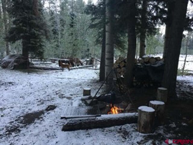 4558 Middle Mountain Rd, Bayfield, CO 81122