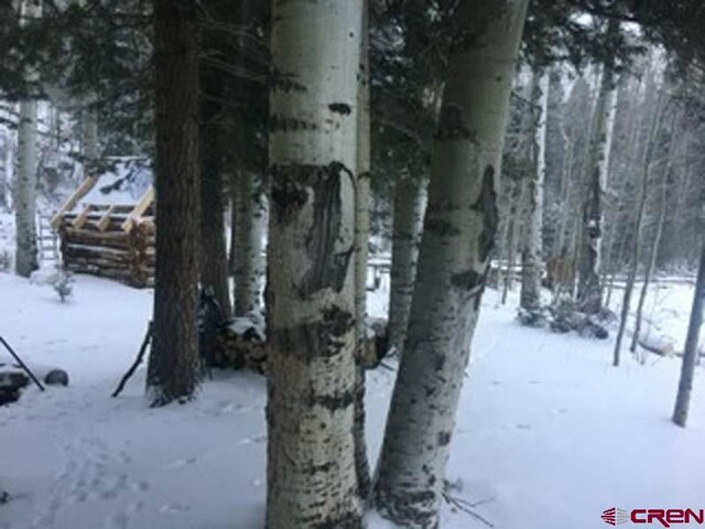 4558 Middle Mountain Rd, Bayfield, CO 81122