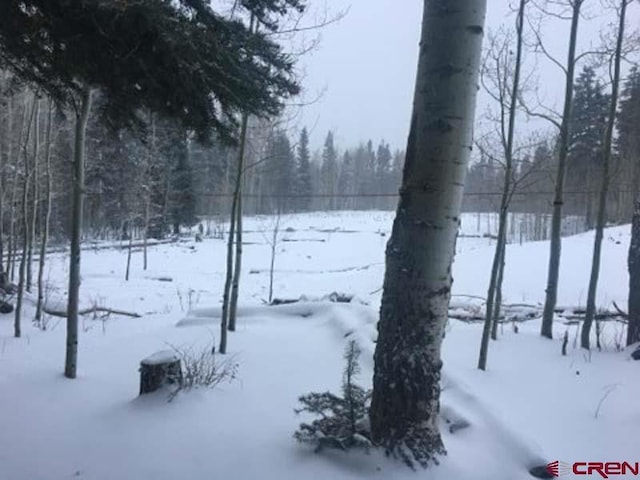 4558 Middle Mountain Rd, Bayfield, CO 81122