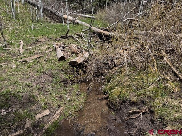 4558 Middle Mountain Rd, Bayfield, CO 81122