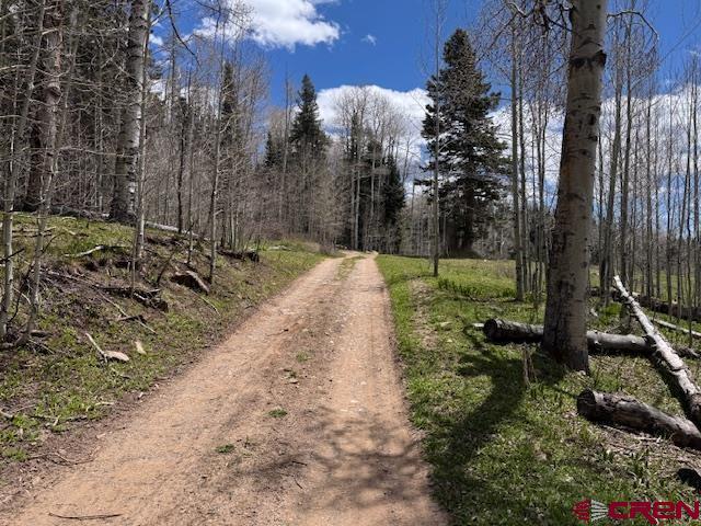 4558 Middle Mountain Rd, Bayfield, CO 81122