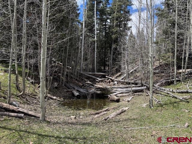 4558 Middle Mountain Rd, Bayfield, CO 81122