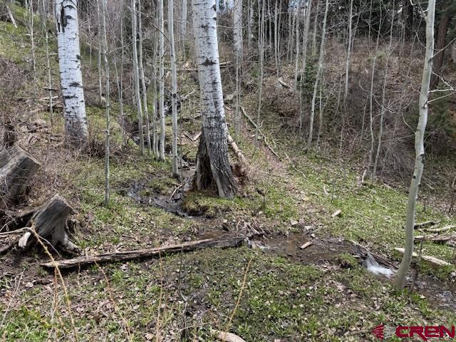 4558 Middle Mountain Rd, Bayfield, CO 81122