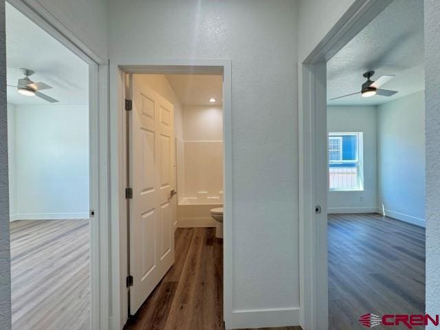 1911 Edison Ave, Alamosa, CO 81101 - corridor featuring wood finished floors and baseboards