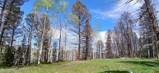 105 Aspen Trl, Cimarron, CO 81220