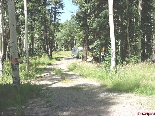 105 Aspen Trl, Cimarron, CO 81220