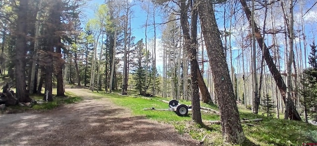 105 Aspen Trl, Cimarron, CO 81220