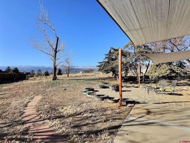 21603 Vaca Dr, Eckert, CO 81418 - view of yard