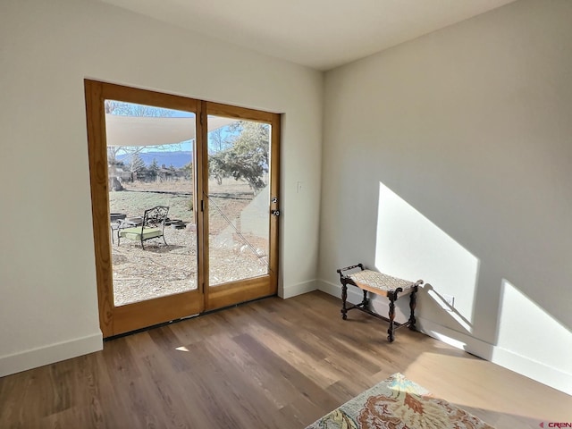 21603 Vaca Dr, Eckert, CO 81418 - doorway to outside featuring baseboards and wood finished floors