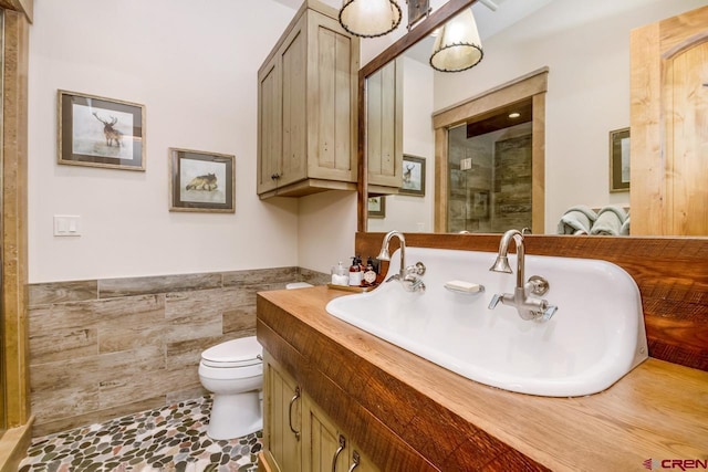 426 Saddle Ridge Ranch Rd, Crested Butte, CO 81224 - full bathroom featuring toilet, a stall shower, a wainscoted wall, vanity, and tile walls