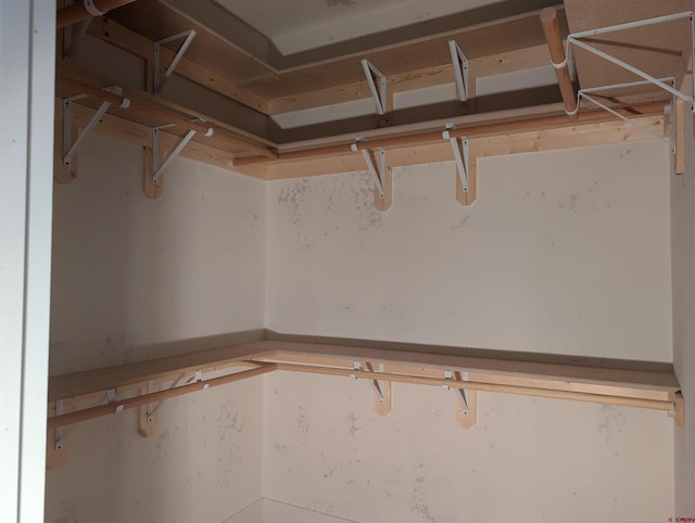 54 Lakewood St, Pagosa Springs, CO 81147 - view of walk in closet