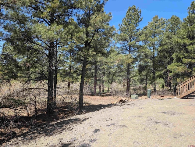 54 Lakewood St, Pagosa Springs, CO 81147 - view of yard