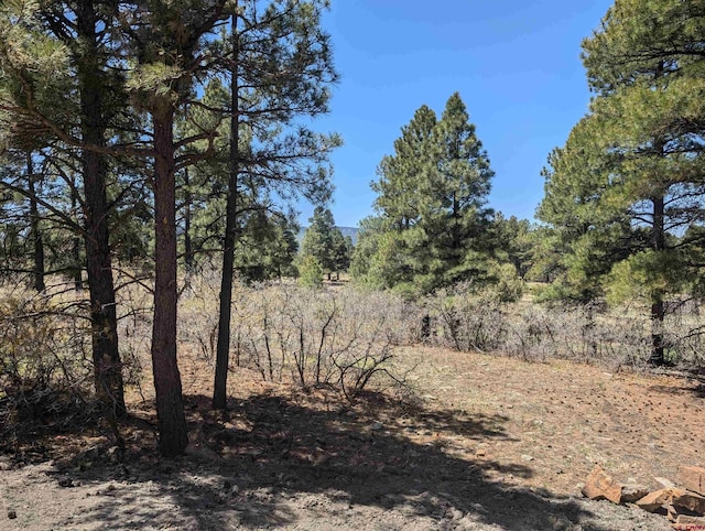 54 Lakewood St, Pagosa Springs, CO 81147 - view of nature