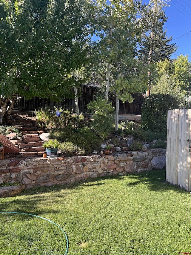 3515 Bennett St, Durango, CO 81301 - view of yard