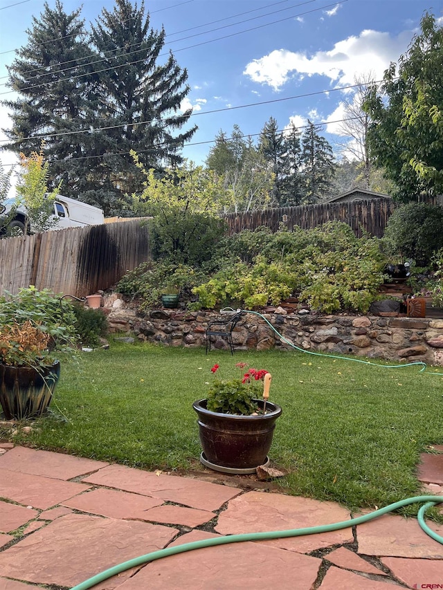 3515 Bennett St, Durango, CO 81301 - view of yard with a patio