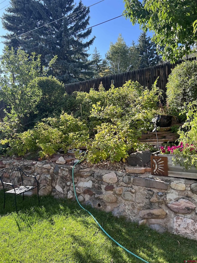 3515 Bennett St, Durango, CO 81301 - view of yard