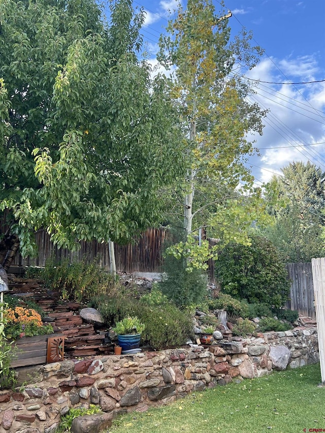 3515 Bennett St, Durango, CO 81301 - view of yard
