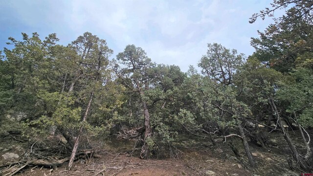 4233 Tranquil Way, Crestone, CO 81143