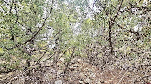 4233 Tranquil Way, Crestone, CO 81143