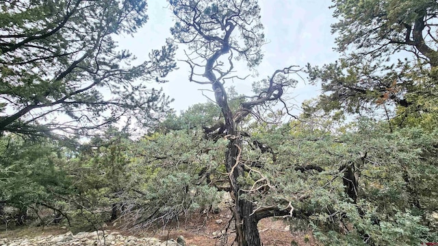 4233 Tranquil Way, Crestone, CO 81143