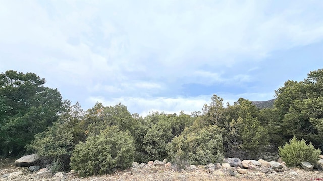 4233 Tranquil Way, Crestone, CO 81143