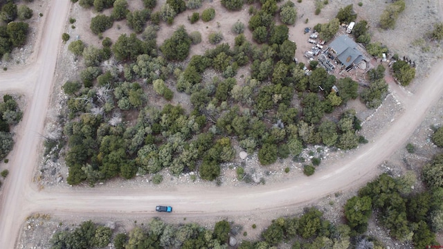 4233 Tranquil Way, Crestone, CO 81143