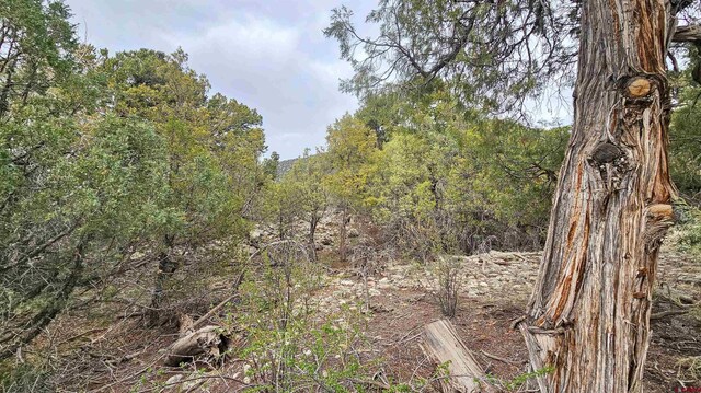 4233 Tranquil Way, Crestone, CO 81143
