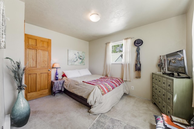 399 E Schroder Dr, Bayfield, CO 81122 - bedroom with light colored carpet
