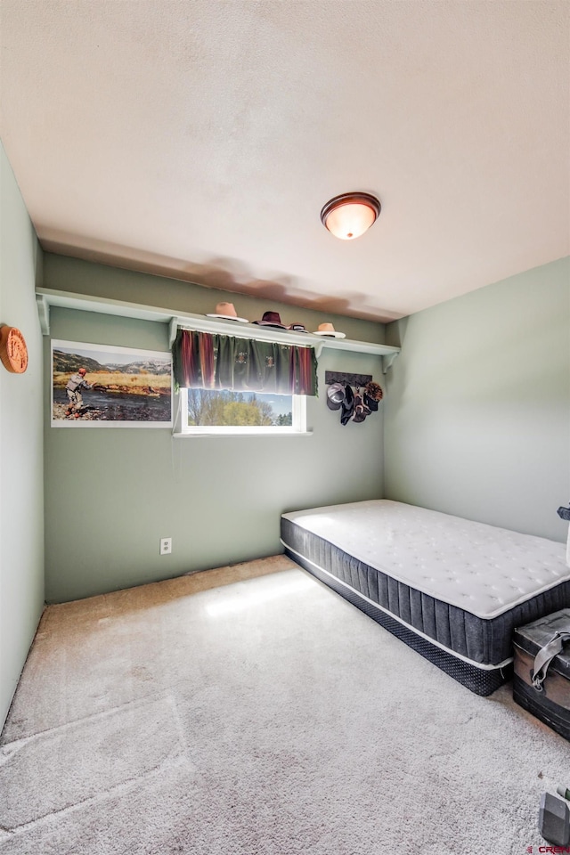 399 E Schroder Dr, Bayfield, CO 81122 - unfurnished bedroom with carpet