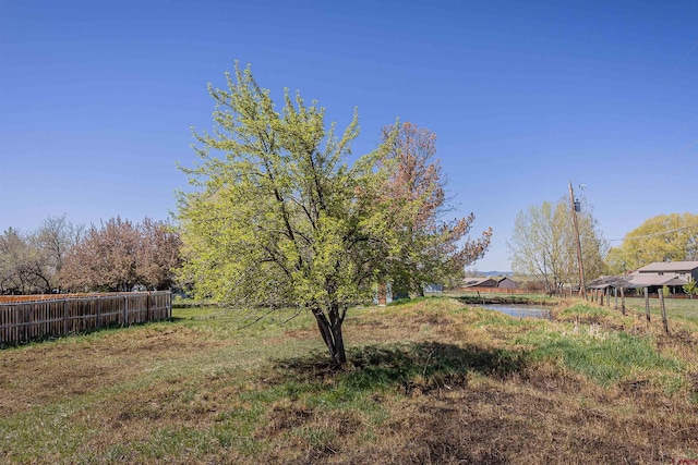 399 E Schroder Dr, Bayfield, CO 81122 - view of yard