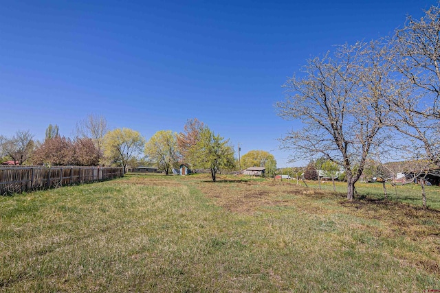 399 E Schroder Dr, Bayfield, CO 81122 - view of yard