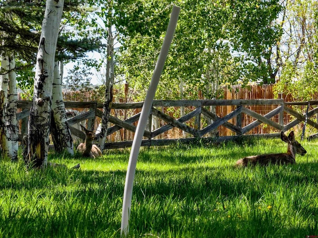 399 E Schroder Dr, Bayfield, CO 81122 - view of gate