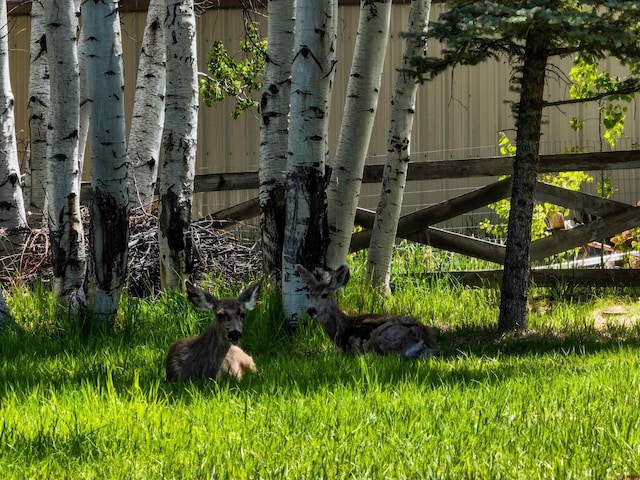 399 E Schroder Dr, Bayfield, CO 81122 - view of gate