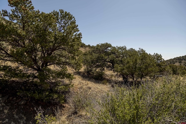 TBD Elkhorn Canyon Dr, Del Norte, CO 81132