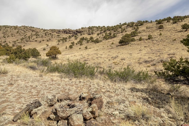 TBD Elkhorn Canyon Dr, Del Norte, CO 81132