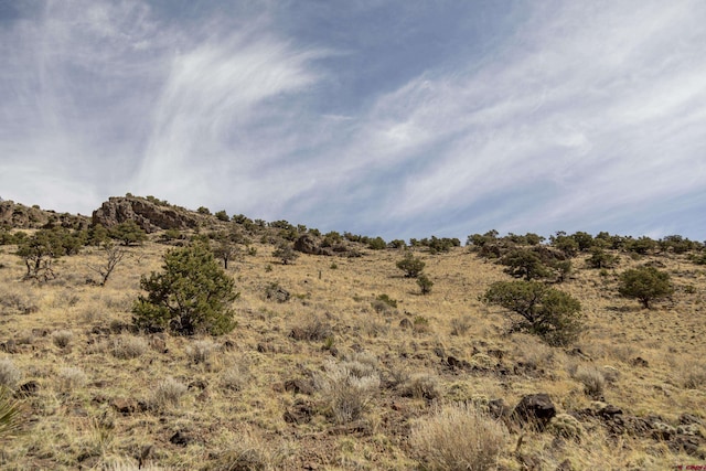 TBD Elkhorn Canyon Dr, Del Norte, CO 81132