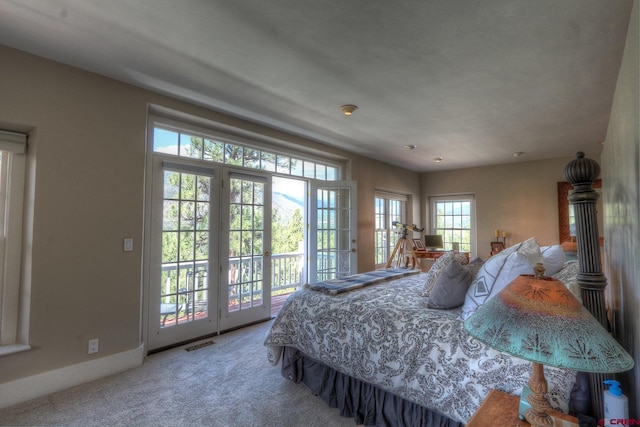 575 County Rd 253, Durango, CO 81301 - bedroom with access to outside, carpet flooring, and baseboards