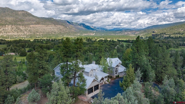 575 County Rd 253, Durango, CO 81301 - drone / aerial view of mountains and a heavily wooded area