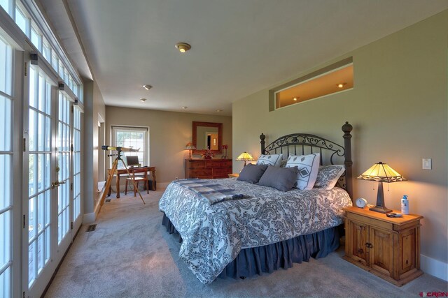 575 County Rd 253, Durango, CO 81301 - carpeted bedroom featuring french doors and baseboards