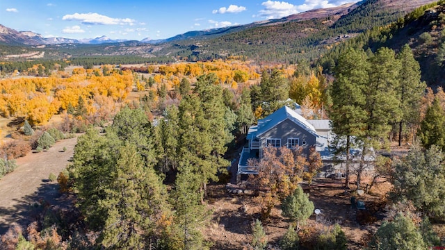 575 County Rd 253, Durango, CO 81301 - view of subject property with a forest and a mountain backdrop