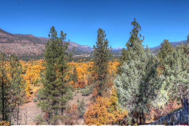 575 County Rd 253, Durango, CO 81301 - mountain view with a heavily wooded area