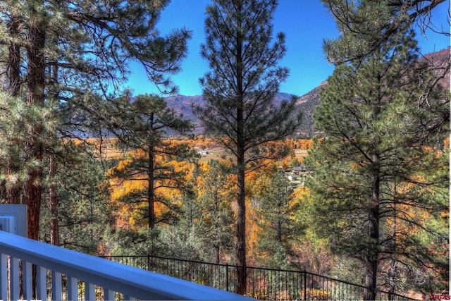 575 County Rd 253, Durango, CO 81301 - view of mountain backdrop featuring a forest
