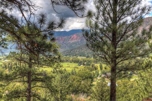575 County Rd 253, Durango, CO 81301 - view of mountain backdrop