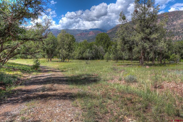 575 County Rd 253, Durango, CO 81301 - view of mountain background with a heavily wooded area