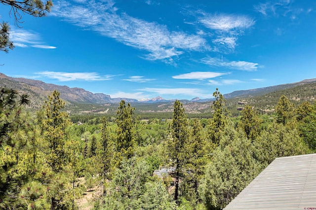 575 County Rd 253, Durango, CO 81301 - view of mountain backdrop with a forest