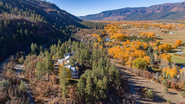 575 County Rd 253, Durango, CO 81301 - view of mountain backdrop featuring a forest