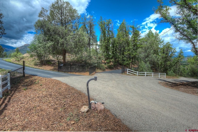 575 County Rd 253, Durango, CO 81301 - view of asphalt road with a mountain view